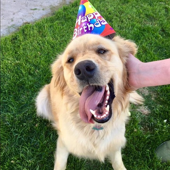 Meet your Posher, Amands - Picture 1 of 1